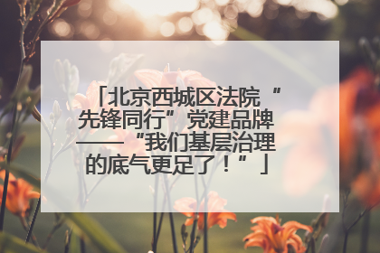 北京西城区法院“先锋同行”党建品牌——“我们基层治理的底气更足了！”