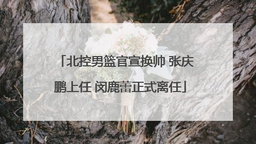 北控男篮官宣换帅 张庆鹏上任 闵鹿蕾正式离任