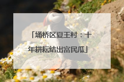 埇桥区夏王村：十年耕耘结出富民瓜