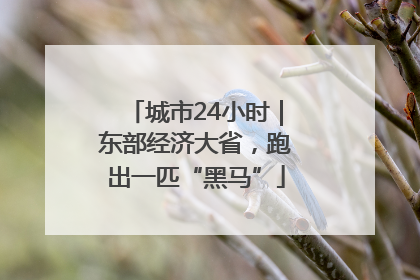 城市24小时｜东部经济大省，跑出一匹“黑马”