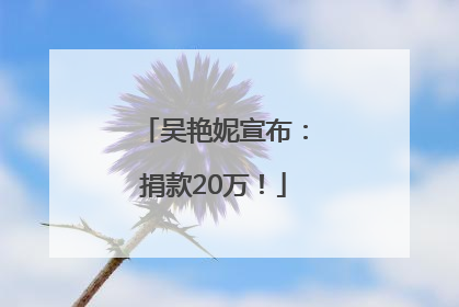 吴艳妮宣布：捐款20万！
