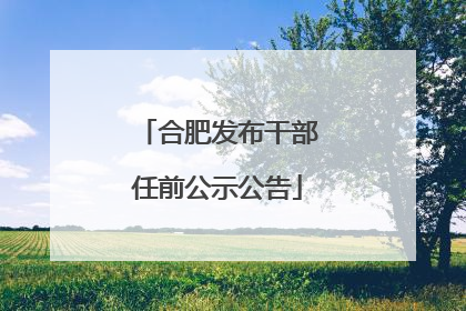 合肥发布干部任前公示公告