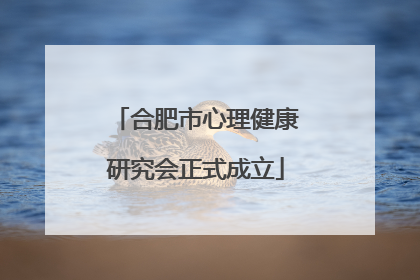 合肥市心理健康研究会正式成立