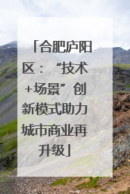合肥庐阳区：“技术+场景”创新模式助力城市商业再升级