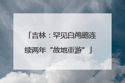 吉林：罕见白鸬鹚连续两年“故地重游”