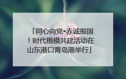 同心向党•赤诚报国！时代楷模共建活动在山东港口青岛港举行