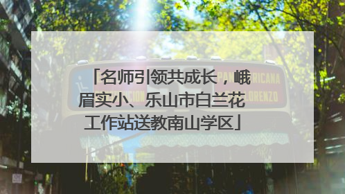 名师引领共成长，峨眉实小、乐山市白兰花工作站送教南山学区
