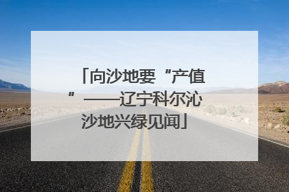 向沙地要“产值”——辽宁科尔沁沙地兴绿见闻