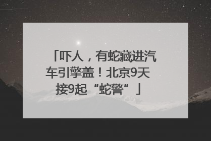 吓人，有蛇藏进汽车引擎盖！北京9天接9起“蛇警”
