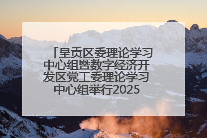 呈贡区委理论学习中心组暨数字经济开发区党工委理论学习中心组举行2025年第七次学习会议