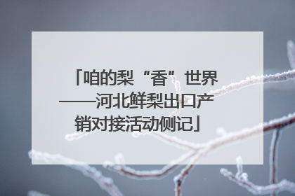 咱的梨“香”世界——河北鲜梨出口产销对接活动侧记