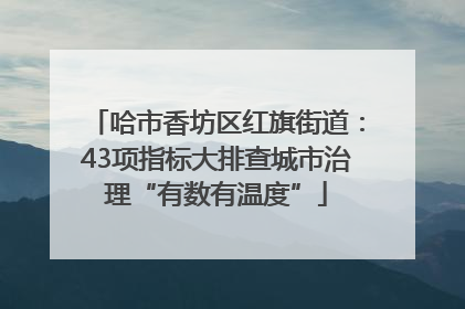 哈市香坊区红旗街道：43项指标大排查城市治理“有数有温度”