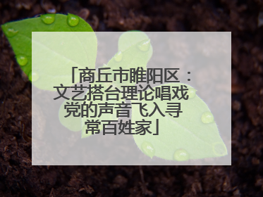 商丘市睢阳区：文艺搭台理论唱戏 党的声音飞入寻常百姓家