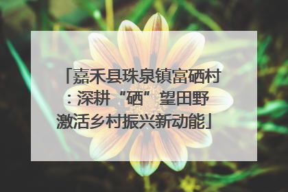 嘉禾县珠泉镇富硒村：深耕“硒”望田野 激活乡村振兴新动能