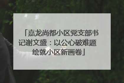 嘉龙尚都小区党支部书记谢文盛：以公心破难题 绘就小区新画卷