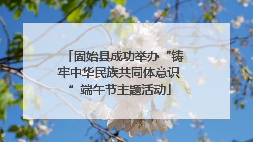 固始县成功举办“铸牢中华民族共同体意识”端午节主题活动
