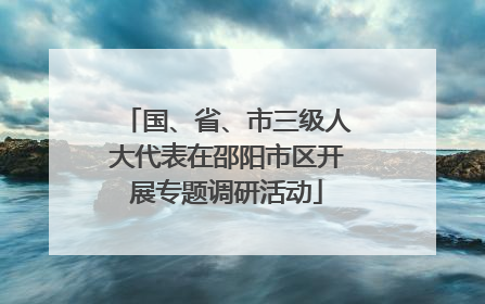 国、省、市三级人大代表在邵阳市区开展专题调研活动