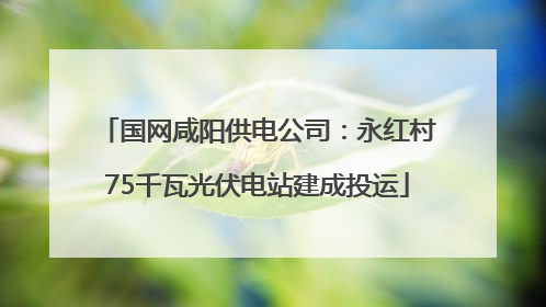 国网咸阳供电公司：永红村75千瓦光伏电站建成投运