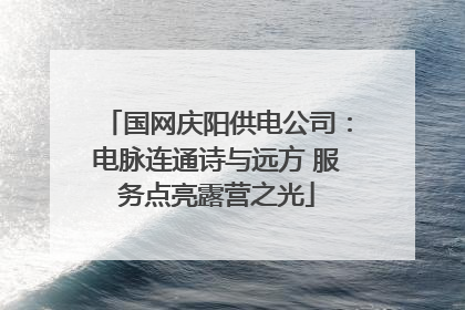 国网庆阳供电公司：电脉连通诗与远方 服务点亮露营之光