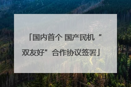 国内首个 国产民机“双友好”合作协议签署