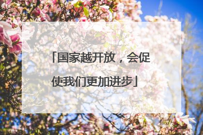 国家越开放，会促使我们更加进步