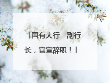国有大行一副行长，官宣辞职！