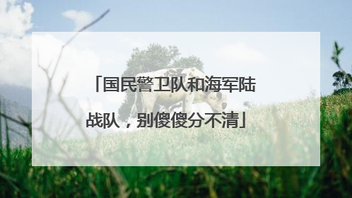 国民警卫队和海军陆战队，别傻傻分不清