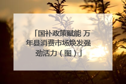 国补政策赋能 万年县消费市场焕发强劲活力（图）