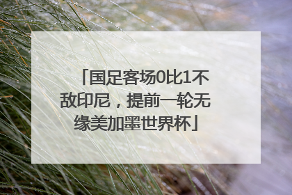 国足客场0比1不敌印尼，提前一轮无缘美加墨世界杯