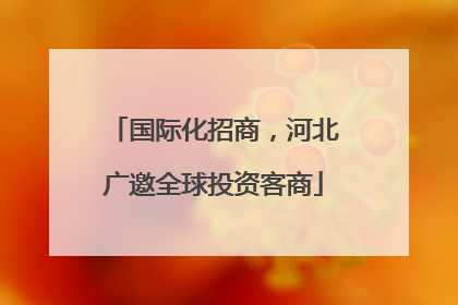国际化招商，河北广邀全球投资客商