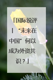国际锐评丨“未来在中国”何以成为外资共识？