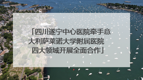 四川遂宁中心医院牵手意大利萨莱诺大学附属医院 四大领域开展全面合作