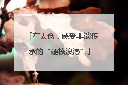 在太仓，感受非遗传承的“硬核浪漫”