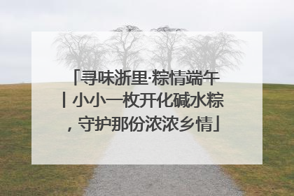 寻味浙里·粽情端午丨小小一枚开化碱水粽，守护那份浓浓乡情