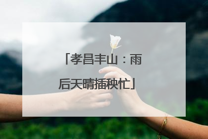 孝昌丰山：雨后天晴插秧忙