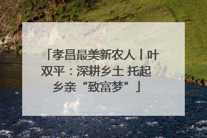 孝昌最美新农人丨叶双平：深耕乡土 托起乡亲“致富梦”