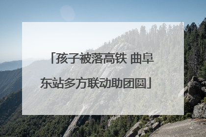 孩子被落高铁 曲阜东站多方联动助团圆