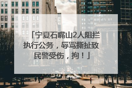 宁夏石嘴山2人阻拦执行公务，辱骂撕扯致民警受伤，拘！