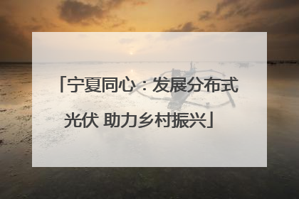 宁夏同心：发展分布式光伏 助力乡村振兴