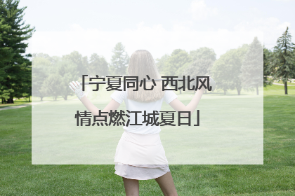 宁夏同心 西北风情点燃江城夏日