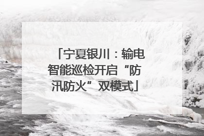 宁夏银川：输电智能巡检开启“防汛防火”双模式