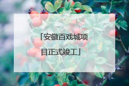 安徽百戏城项目正式竣工