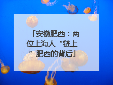 安徽肥西：两位上海人“链上”肥西的背后