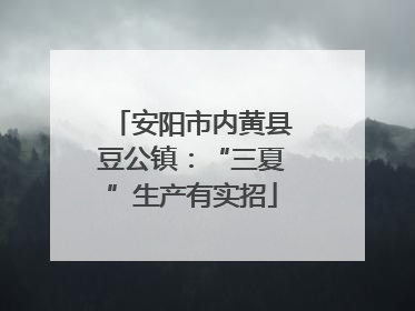 安阳市内黄县豆公镇：“三夏”生产有实招