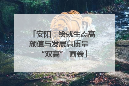 安阳：绘就生态高颜值与发展高质量 “双高” 画卷