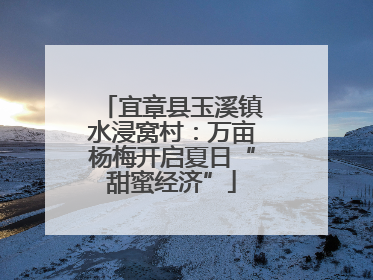 宜章县玉溪镇水浸窝村：万亩杨梅开启夏日“甜蜜经济”
