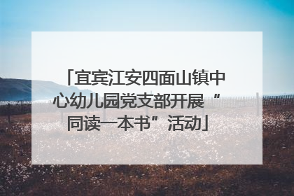 宜宾江安四面山镇中心幼儿园党支部开展“同读一本书”活动