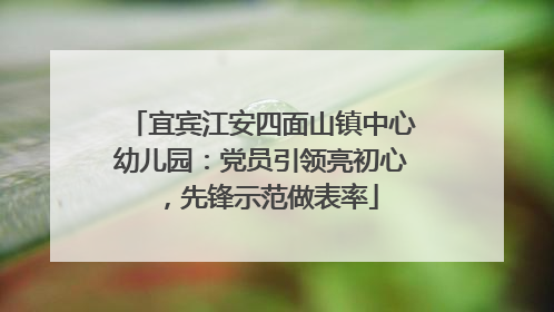 宜宾江安四面山镇中心幼儿园：党员引领亮初心，先锋示范做表率