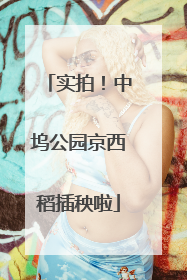 实拍！中坞公园京西稻插秧啦