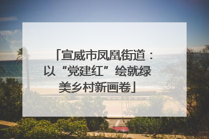 宣威市凤凰街道：以“党建红”绘就绿美乡村新画卷
